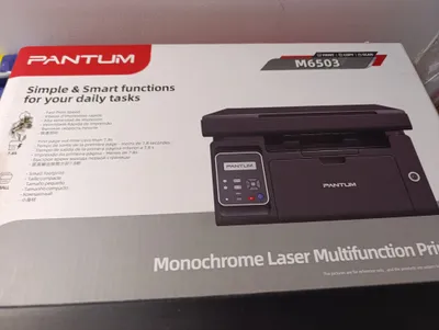 Принтер Pantum M6503