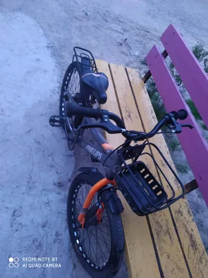 PHILLIPS bolalar velosipedi, 20 dyuymli g‘ildirak 1