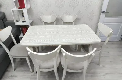 Стол со стульями 1