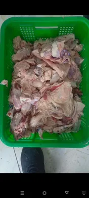 Yogʻ atxot jigar tovuq suyak toza maxsulotlari xamasi 1