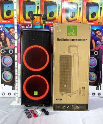 Колонка SOK NE-808 1