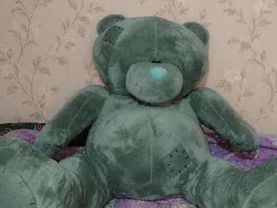 ayiq teddy
