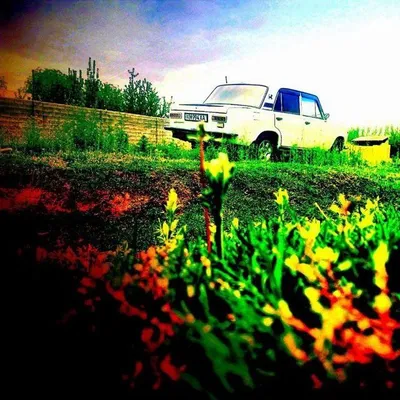 Juguli Vaz lada 1980-yil 1