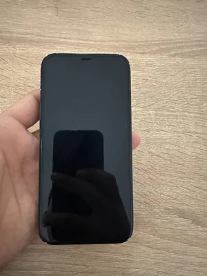 iPhone 12 1