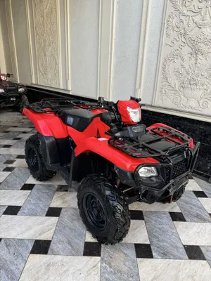Honda kvadrotsikl 1