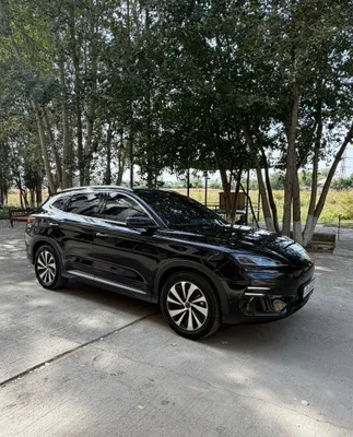 Byd chempion sotiladi 605 1