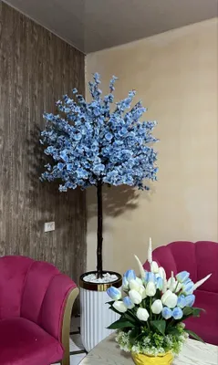 Сакура дарахтлари 1