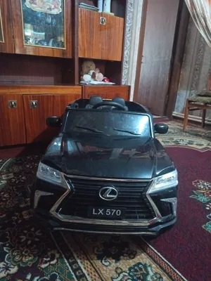 LEKSUS 1