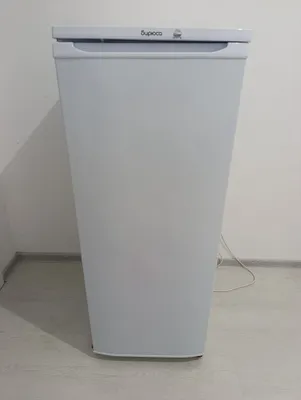 Muzlatgich biryus modeli kafolatibor