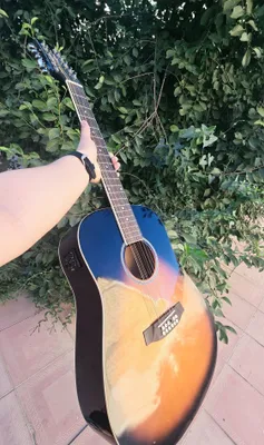 12 torli Ashton gitarasi 1