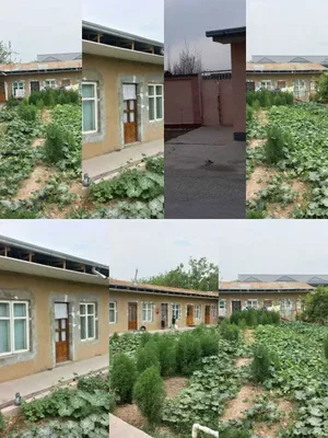 Занги отада 6 сотих уй сотилади 1