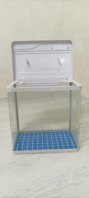 Akvarium baliqlar uchun 1