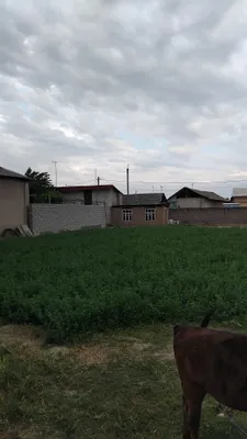7.7 сотх ер майдони сотилади, хужжатлари тайёр 1