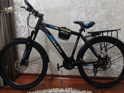 SKILLMAX velosipedi 1