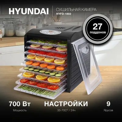 Фруктосушилка Hyundai 1802 1