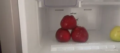 olma