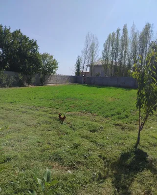 Недвижимость ер сотилади
