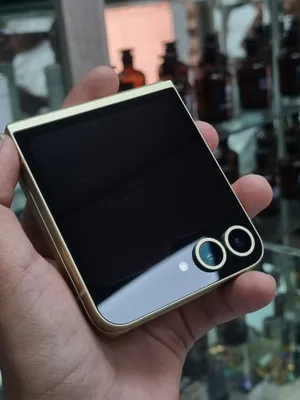 Samsung Z Flip 6 1