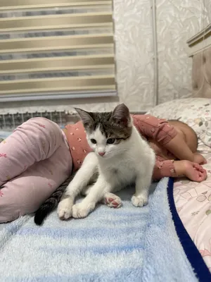 Jahannamdan porno videolar