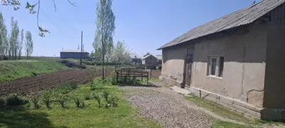 Участок на Ташморе 22сотки времянка 2комнатна 1