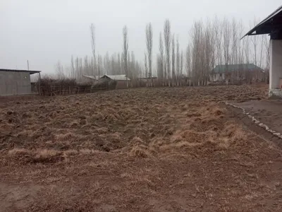 20 sotix yer uchaska sotiladi 1