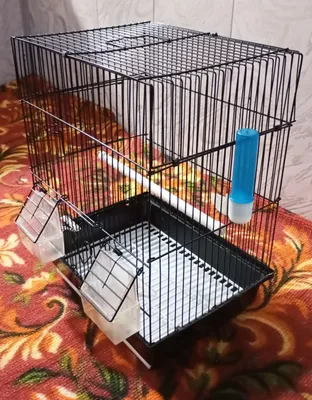 Клетка для птиц. 1