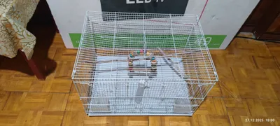 Клетка для попугаев 1