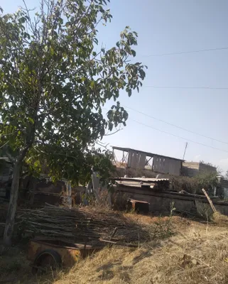 Yer 6 sotix sotiladi srochna 1
