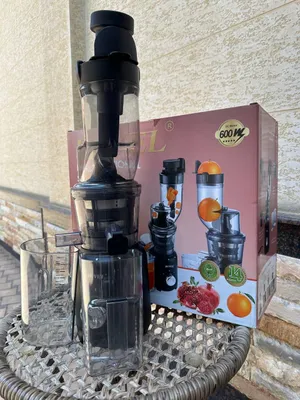 Шнековая соковыжималка «Журавинка» Sokovijimalka Duvel DL-7008C 1
