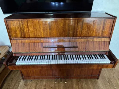 Belarus pianinosi 1