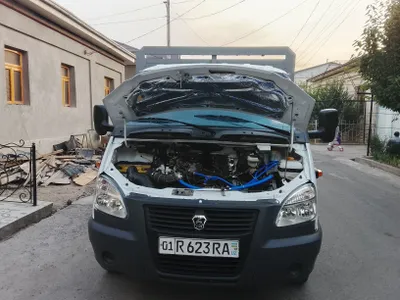 Сотилдид Газел 2014 Завод 1