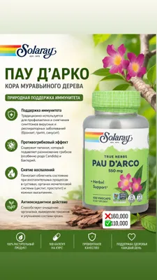 Pau D’arco chumoli daraxti po‘stlog‘i