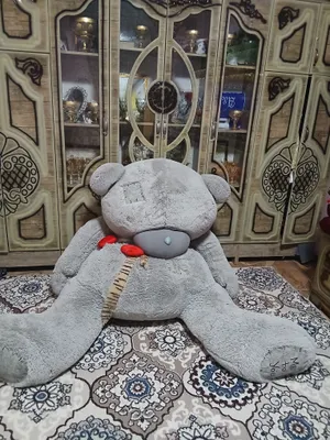 teddiy ayiq 1