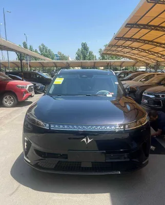 Dongfeng 008 MAX, полностью электрический, 2026 год, чёрный, серийный салон 1