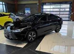 BYD Chazor Active 55 km, buyurtma asosida 1