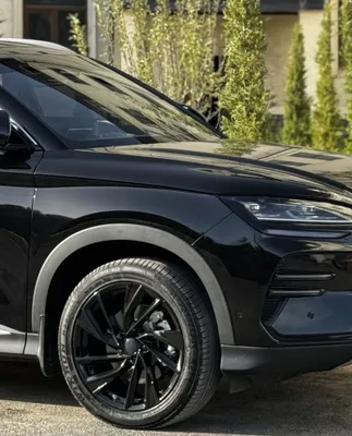 BYD Champion R19