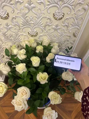 Новый букет