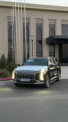 hyundai palisade 2024 yil 1