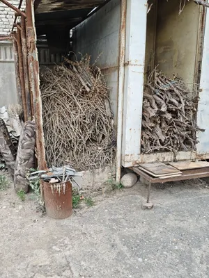 Дрова(ветки,стволы,доски) 1