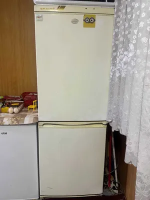 Холодильник Snaige 1
