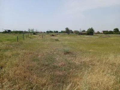 Toshkent viloyati Piskent tumanida dala hovli 1