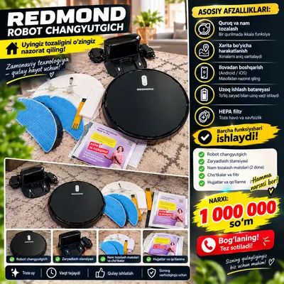 Пылесос Redmond Chang 1
