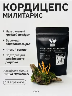 Кордицепс 100гр супер фуд