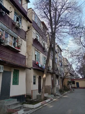 Продаются Две 1 комнатные квартиры 1