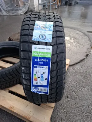 265/50R20 зимняя шина Green Max 1