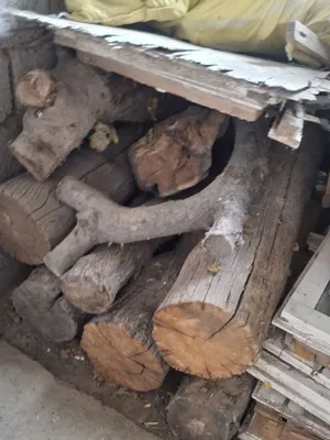 Продаются дрова, есть разные 1