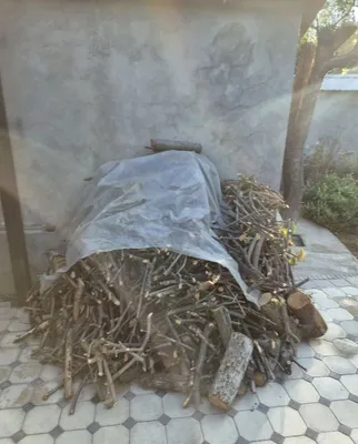 Yaxshi holatdagi o‘tin sotiladi. 1