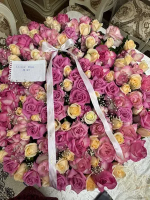 Красивый цветок 🌷