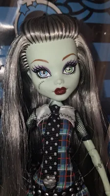 Monster High qo‘g‘irchog‘i 1