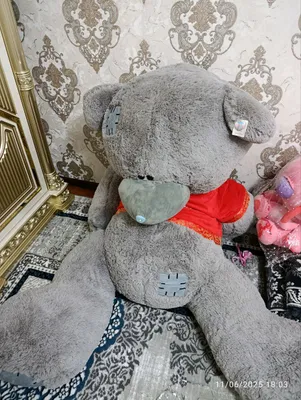 Teddy 1